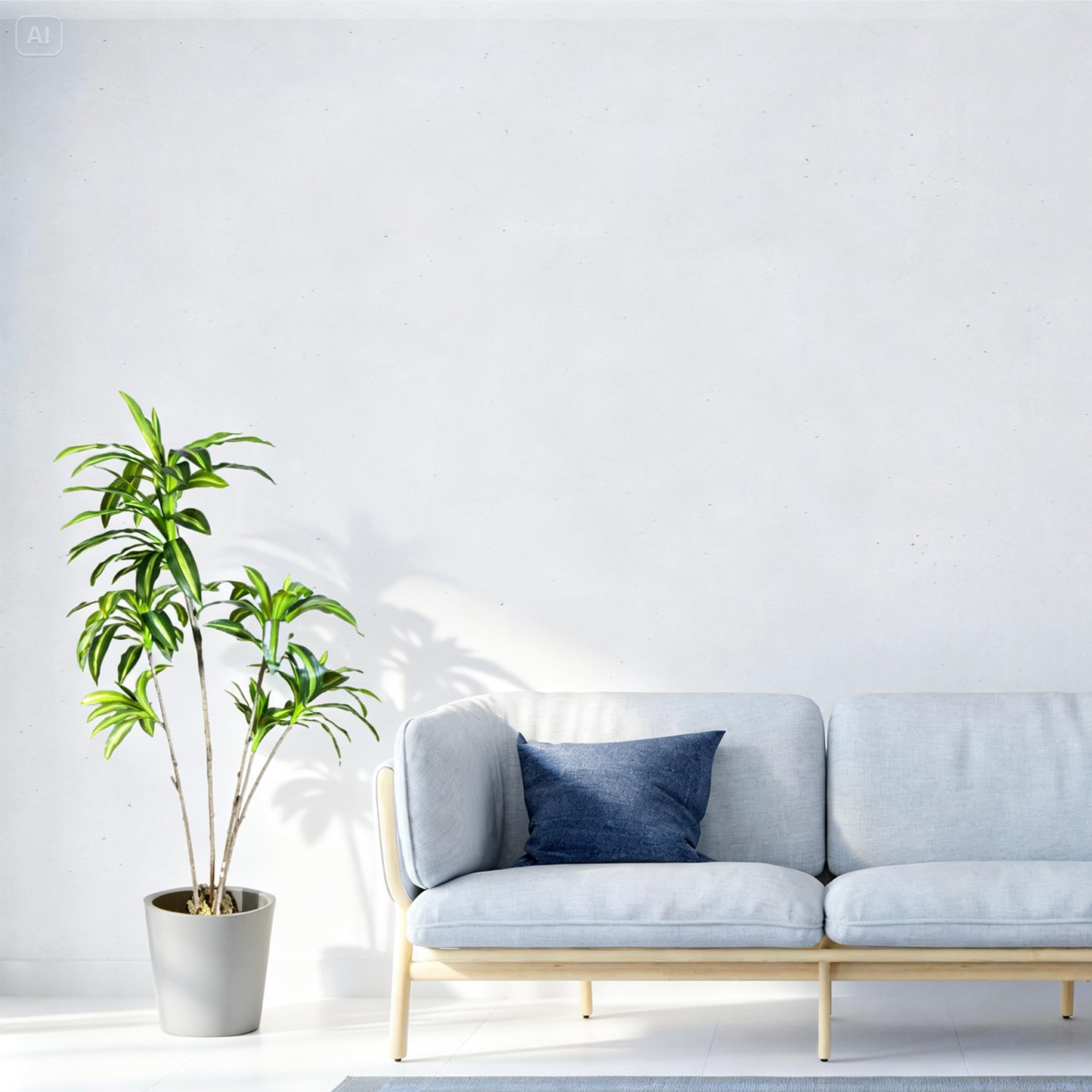 Dracaena Corn Plant