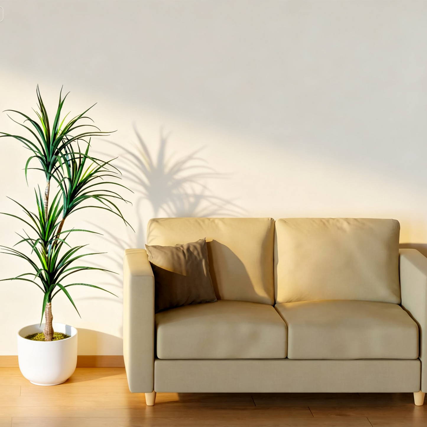 Yucca Tree
