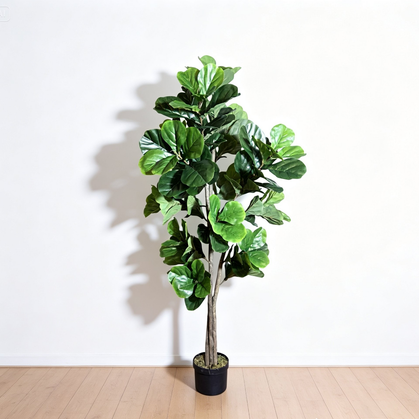 71" Fiddle Leaf Fig Tree