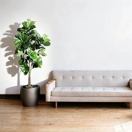 71" Fiddle Leaf Fig Tree