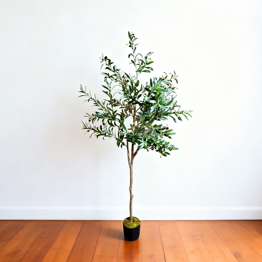 70.87" Olive Tree