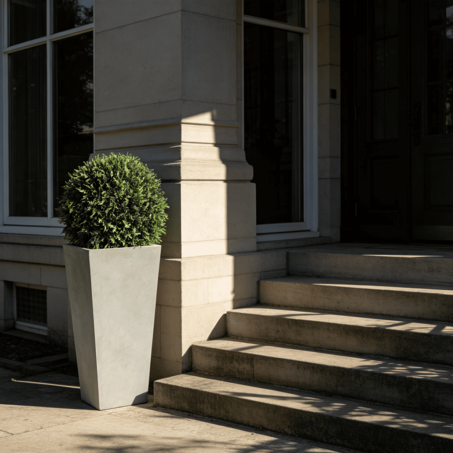 Cedar Topiary Ball